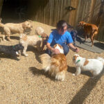 Great-Valley-Pet-Hotel-Dog-Boarding-Dog-Daycare-Image-9